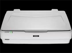 Epson skener Expression 13000XL, A3, 4800dpi, USB